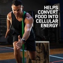 optimum-nutrition-on-multivitamin-for-me-61Epz6WZfOL.jpg