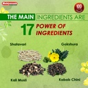 baidyanath-dhatu-paushtik-churna-100g-ay-71WXchHioYL.jpg