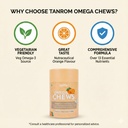 omegachews-daily-orange-flavor-multivita-7143K5mLkpL.jpg