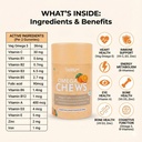 omegachews-daily-orange-flavor-multivita-81Dnhm5kUVL.jpg