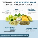 fat-loss-juice-for-weight-management-750-81Joq6sPoTL.jpg