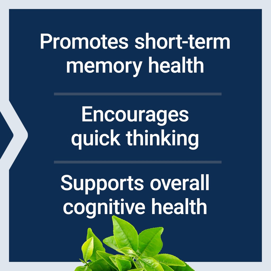 neuro-mag-magnesium-l-threonate-memory-h-71wmd3YPnYL.jpg