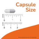 now-supplements-calm-focus-with-zembrin--61gvGWZ0t7L.jpg