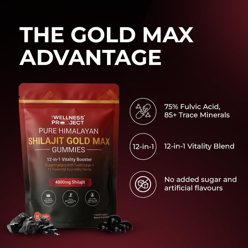 the-wellness-project-12-in-1-shilajit-go-61CmnhiWc-L.jpg