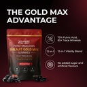 the-wellness-project-12-in-1-shilajit-go-61CmnhiWc-L.jpg