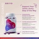 briyo-joint-health-supplement-all-around-715Fl9K1LcL.jpg