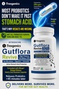 trexgenics-gutflora-revive-probiotics-14-71cEFD3FF+L.jpg