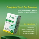 dive-gut-guard-kids-tummy-care-pre-probi-71ZkoMdrcEL.jpg