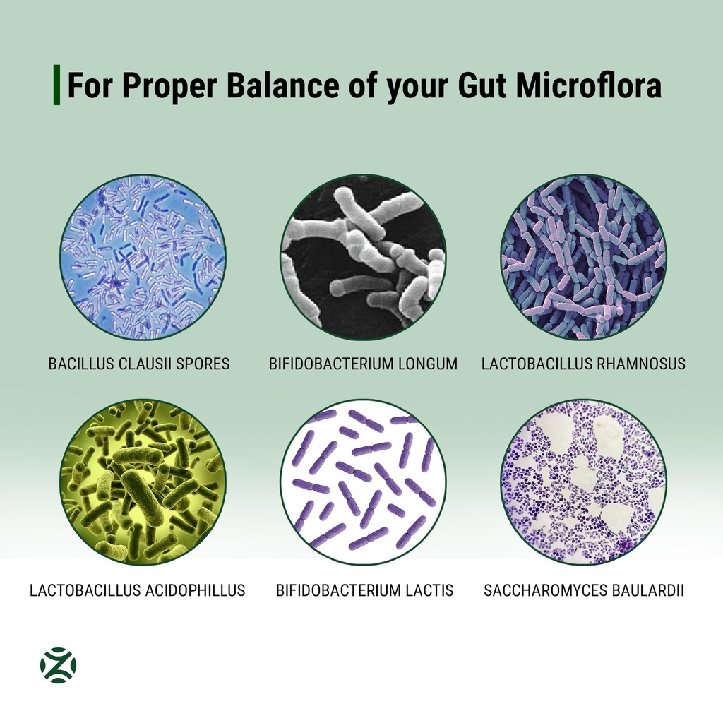 prebiotic-probiotic-capsules-gut-health--811nCY-1ZJL.jpg