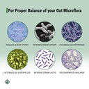 prebiotic-probiotic-capsules-gut-health--811nCY-1ZJL.jpg