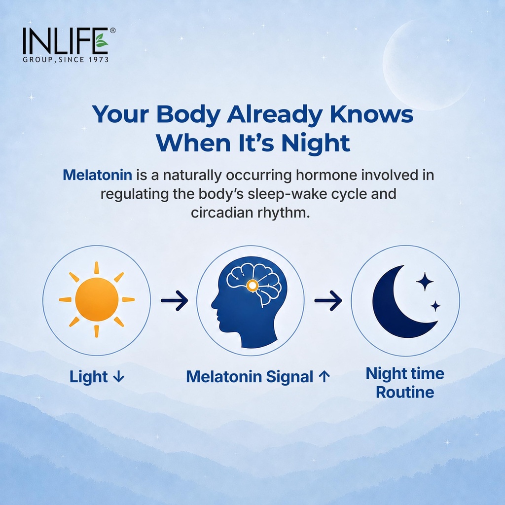 inlife-melatonin-10mg-sleep-supplement-w-81Me8zSKGVL.jpg