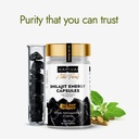 kapiva-shilajit-shilajeet-energy-60-caps-61nj5hm66eL.jpg