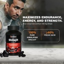 himalaya-shilajit-capsule-60s-enhances-s-610t-kqEQTL.jpg