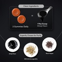 man-matters-pure-shilajit-shilajeet-gumm-71ApzxkguML.jpg