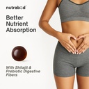 nutrabud-pure-shilajit-shilajeet-gummies-71FOOTzrSXL.jpg
