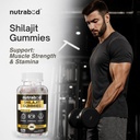 nutrabud-pure-shilajit-shilajeet-gummies-71K1p0V8bCL.jpg