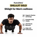 nutrastore-shilajit-gold-resin-20-gm-shi-71PZoehgZVL.jpg
