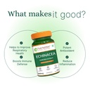 pure-nutrition-echinacea-capsules-120-ve-61vVb4jc-ZL.jpg