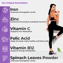 health-veda-organics-chelated-iron-suppl-81J8CWh9dkL.jpg
