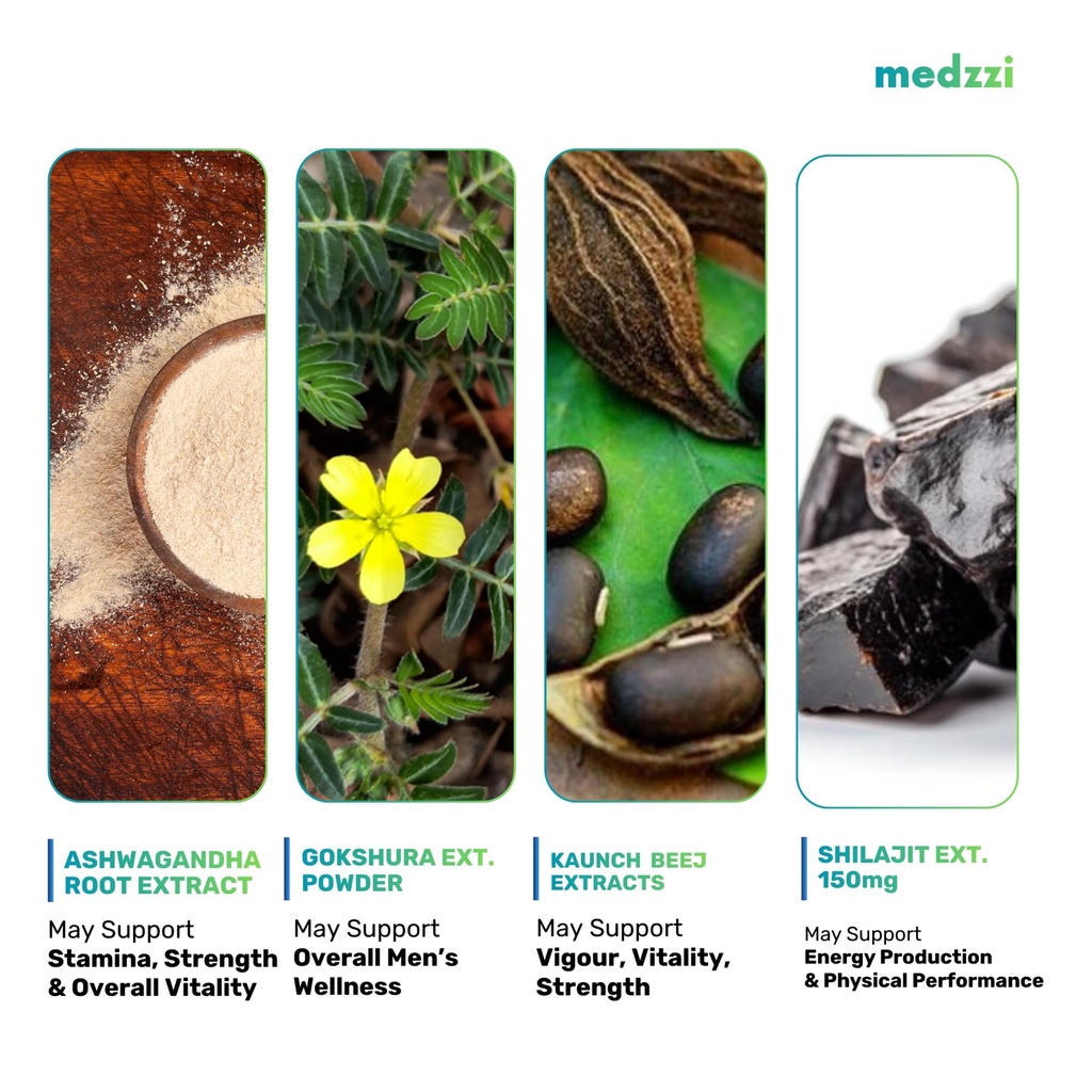 shilajit-power-x-men-s-wellness-ayurvedi-81u9MdrQWdL.jpg