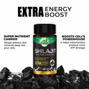 zandu-shilajit-capsules-infused-with-goo-71LgsCM1bfL.jpg