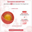 naturyz-liposomal-iron-capsules-with-fol-61+W7cqYoxL.jpg