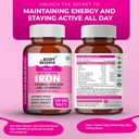 the-body-reserve-chelated-iron-vitamin-c-81TupyzVBrL.jpg
