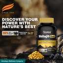 himalaya-shilajit-shilajeet-gold-capsule-71dcTEBqZ1L.jpg