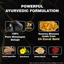 himalaya-shilajit-shilajeet-gold-capsule-718KWgtiAFL.jpg
