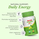 nutrela-vitamin-b12-biofermented-plant-b-61SR5OF4AyL.jpg