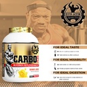 dexter-jackson-carbo-plus-mango-juice-fl-61FCo8l1PrL.jpg