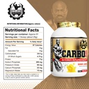dexter-jackson-carbo-plus-mango-juice-fl-61YfBpCRgkL.jpg