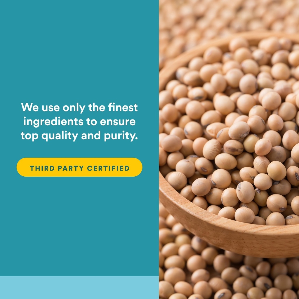 natural-factors-phosphatidyl-choline-per-81KxO4n5UrL.jpg
