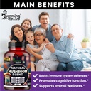 humming-herbs-natural-mushroom-blend-7in-81TSkQIjkxL.jpg