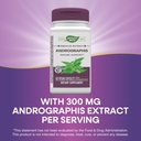 nature-s-way-andrographis-standardized-e-71qRiuS7zWL.jpg
