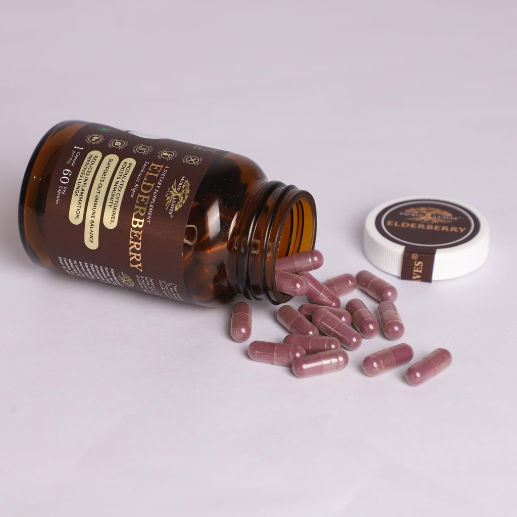 elderberry-extract-500-mg-immune-support-71lL4k+U2SL.jpg