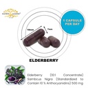 elderberry-extract-500-mg-immune-support-71gbP9+3hXL.jpg