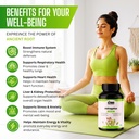 astragalus-root-extract-500mg-81+awIAN96L.jpg