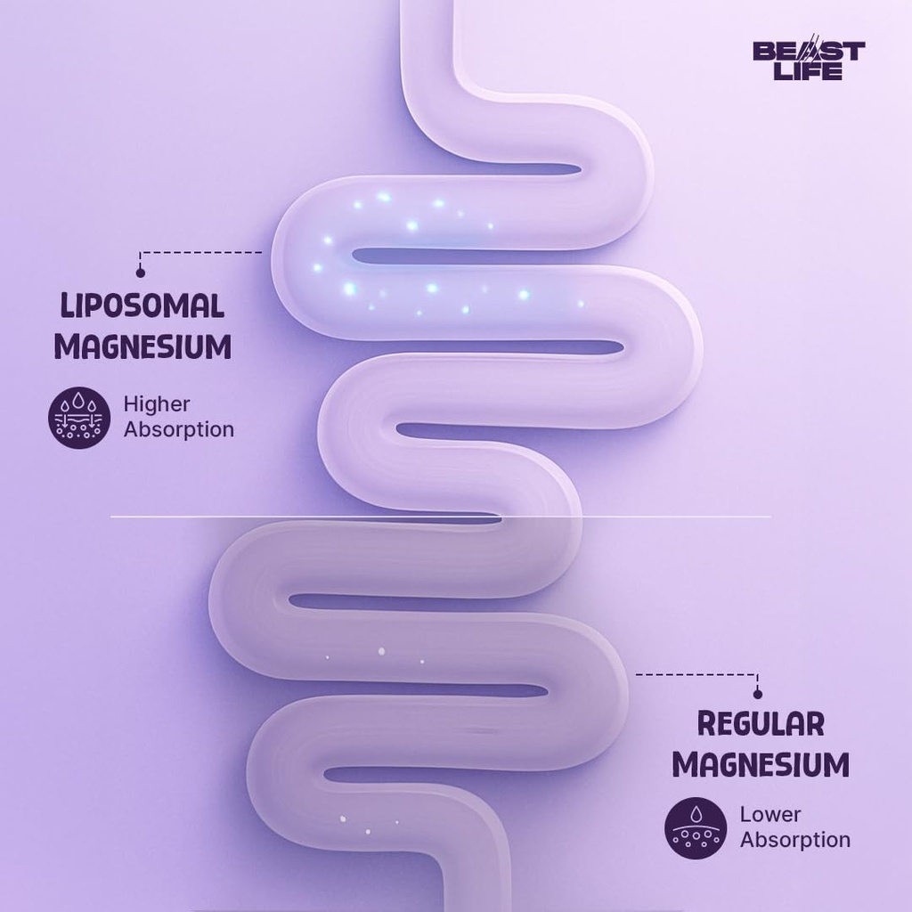 beastlife-triple-liposomal-magnesium-3-i-51U1aKEfNXL.jpg