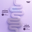 beastlife-triple-liposomal-magnesium-3-i-51U1aKEfNXL.jpg