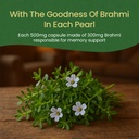 kerala-ayurveda-brahmi-pearls-with-ghee--71I48Q3E+vL.jpg