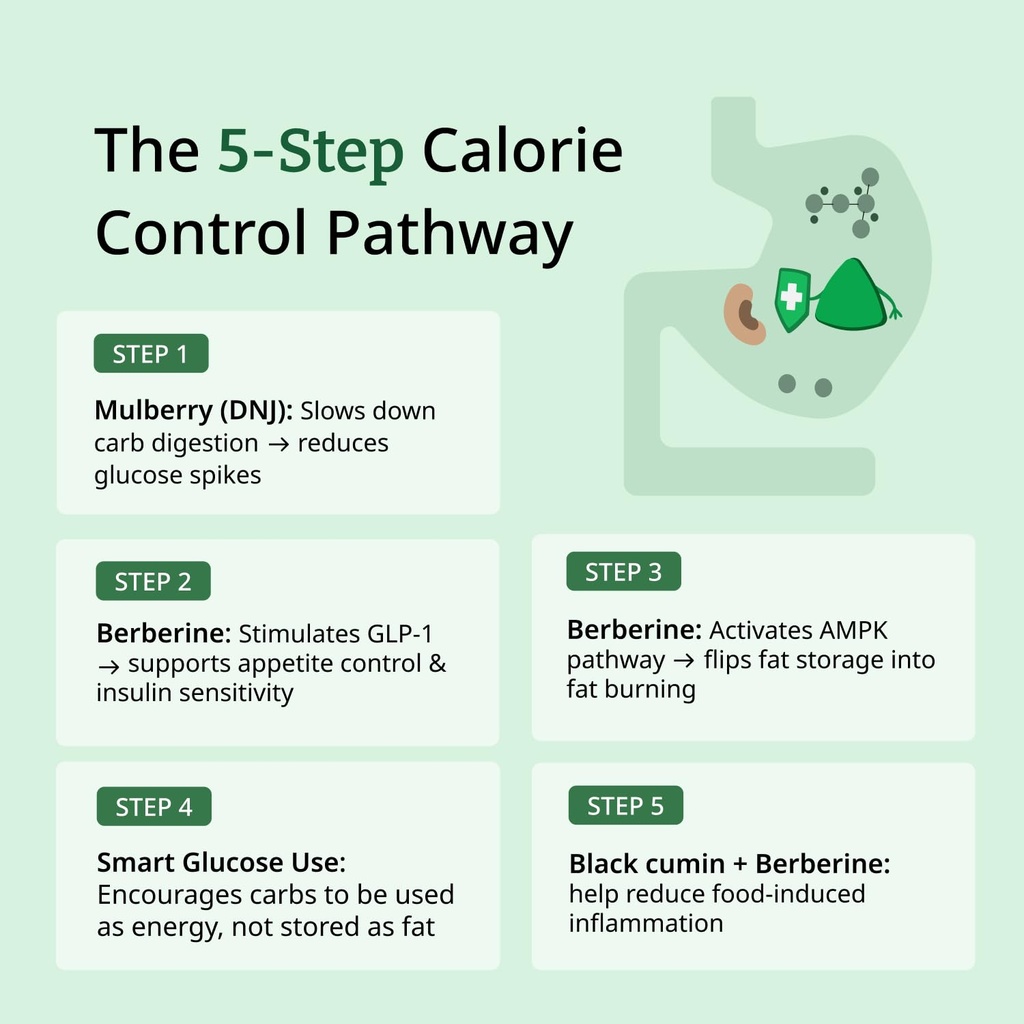 moderate-calorie-crusher-plant-based-cal-61azRla-ykL.jpg