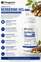 trexgenics-berberine-hcl-500-mg-pure-nat-71FdELIjKxL.jpg