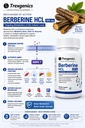 trexgenics-berberine-hcl-500-mg-pure-nat-71pmnYYn64L.jpg