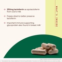 jarrow-formulas-lactoferrin-250-mg-60-ca-71Rv4EmiFmL.jpg