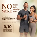 fast-up-plant-protein-powder-1kg-rich-ch-61NUKpfVKcL.jpg