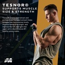 muscletech-test-hd-elite-tribulus-terres-71P-V9UAcxL.jpg