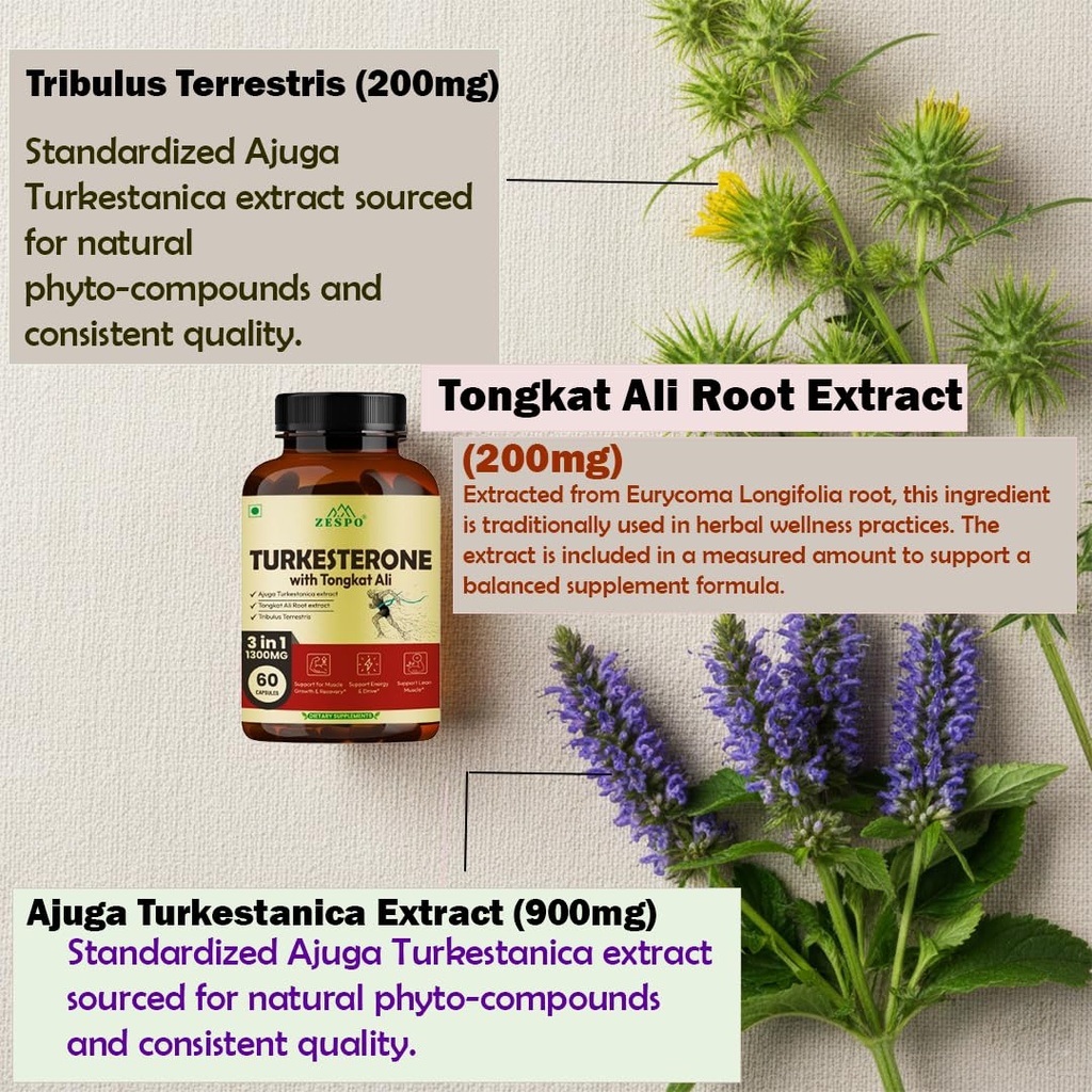 zespo-turkesterone-1300mg-supplement-for-71vFpWzMTAL.jpg