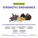 bliss-welness-testosterone-supplement-sh-71laaCt8VBL.jpg