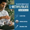 lmethylfolate-15mg-liquid-methyl-b12-cof-71MH3nXojUL.jpg